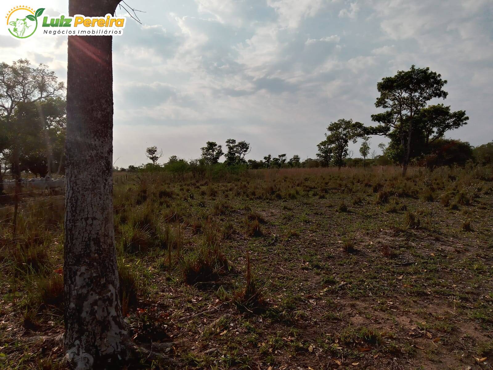 Fazenda à venda, 2000000m² - Foto 14