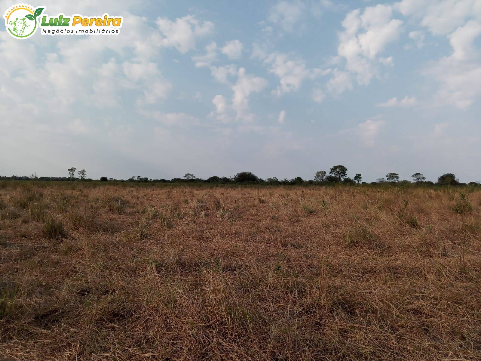 Fazenda à venda, 2000000m² - Foto 10