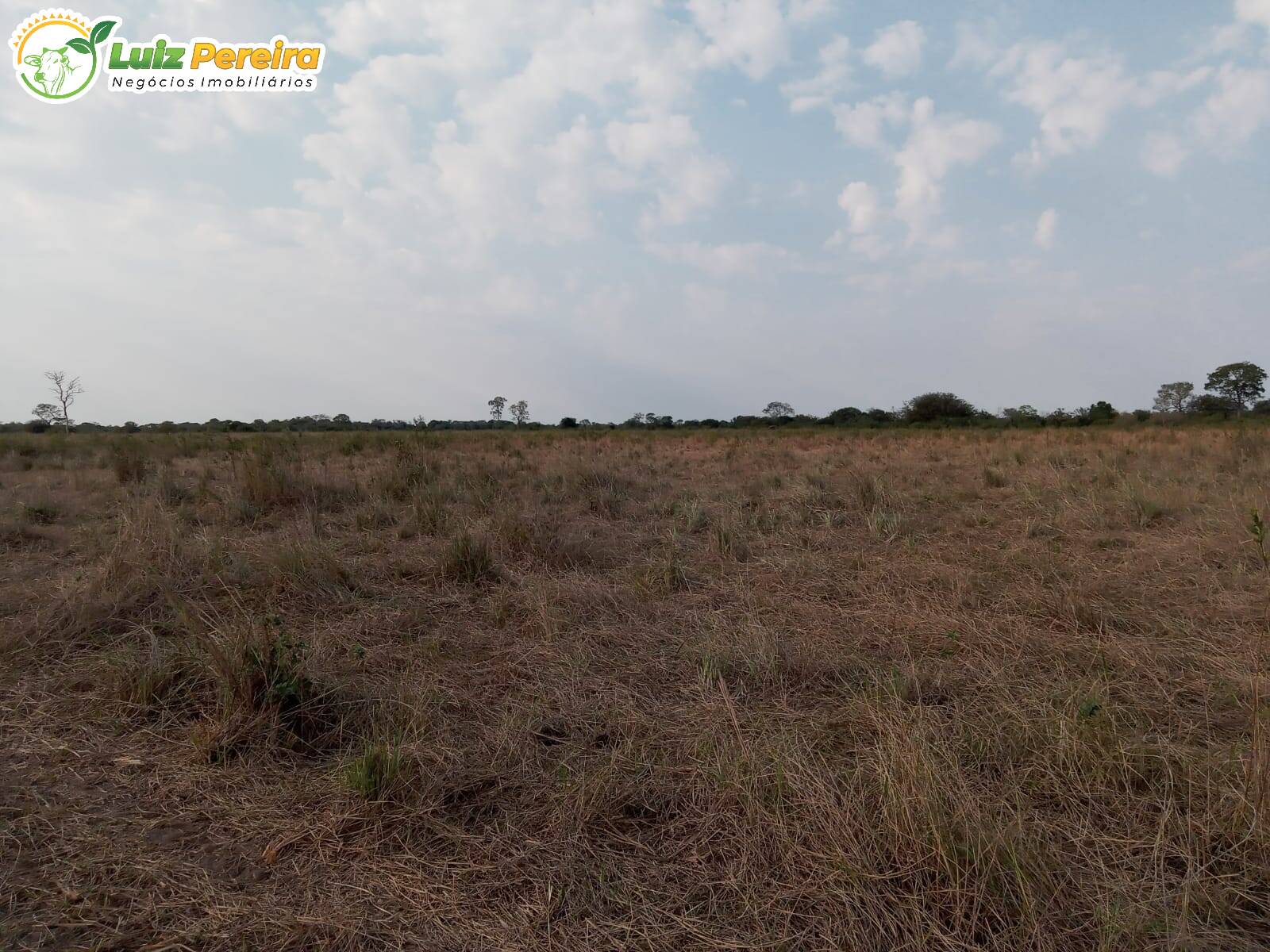 Fazenda à venda, 2000000m² - Foto 9