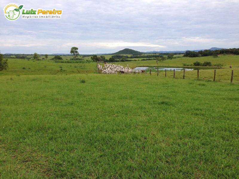 Fazenda à venda, 40000000m² - Foto 5