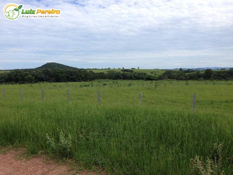 Fazenda à venda, 40000000m² - Foto 11