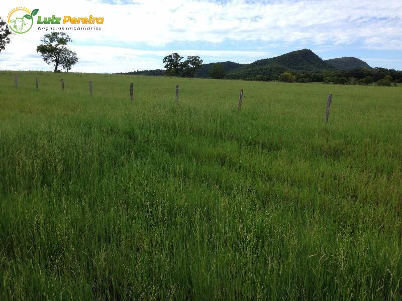 Fazenda à venda, 40000000m² - Foto 9