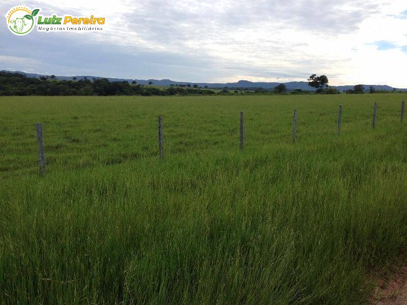 Fazenda à venda, 40000000m² - Foto 10