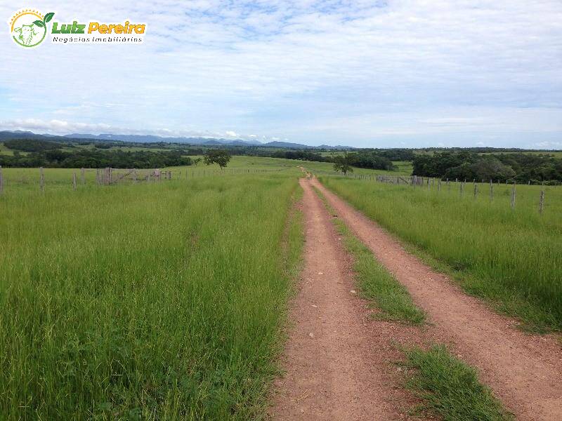 Fazenda à venda, 40000000m² - Foto 12