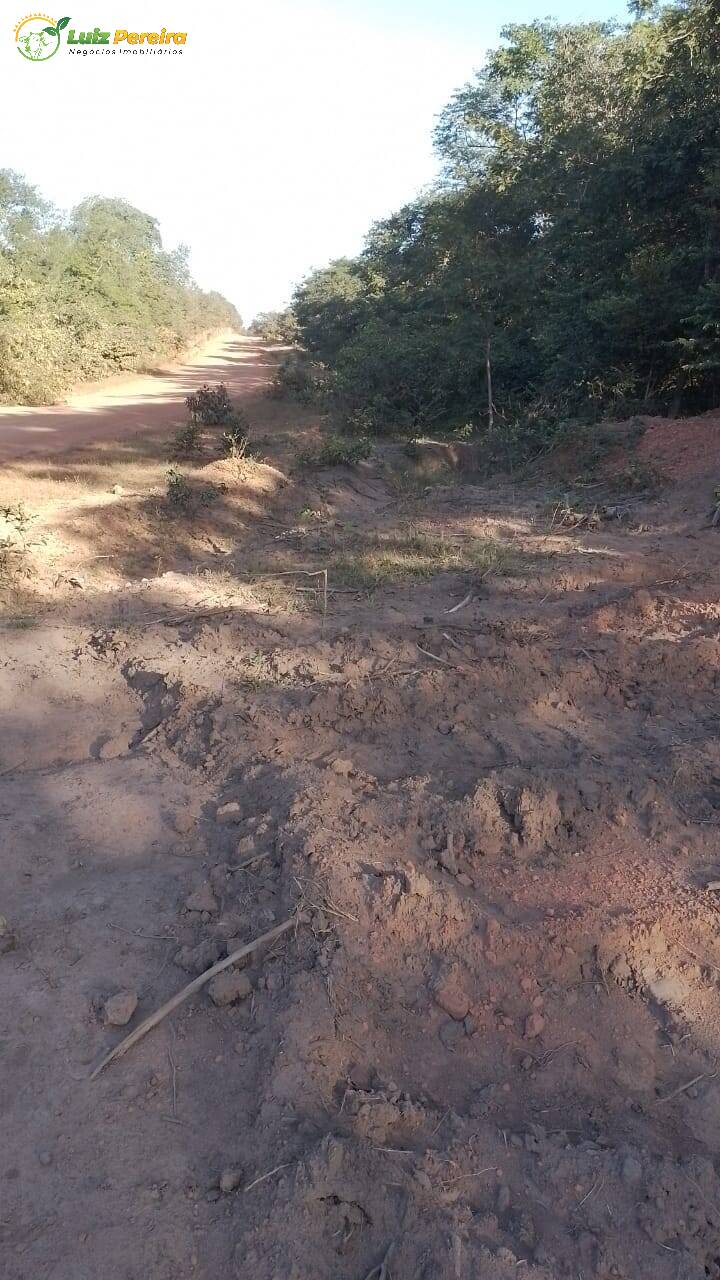 Fazenda à venda, 22000000m² - Foto 5