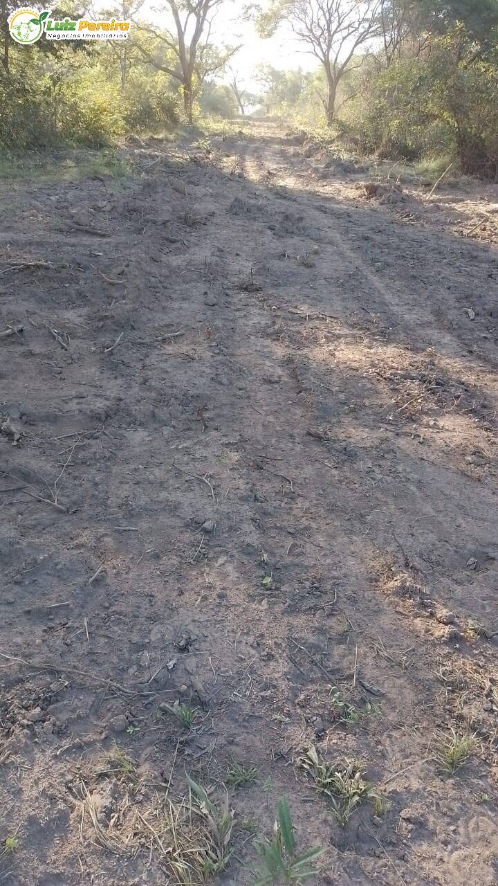 Fazenda à venda, 22000000m² - Foto 6