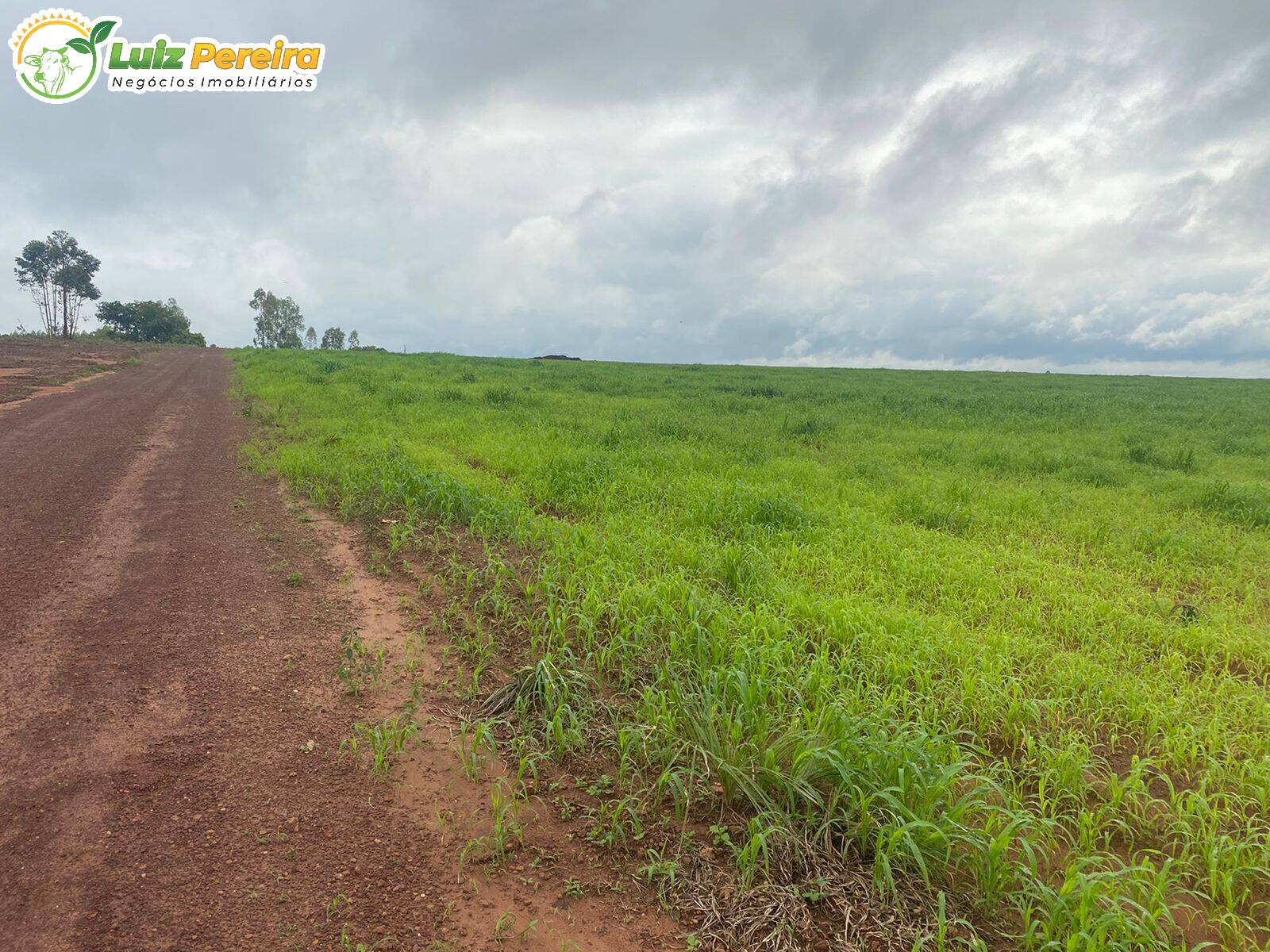 Fazenda à venda, 12100000m² - Foto 4