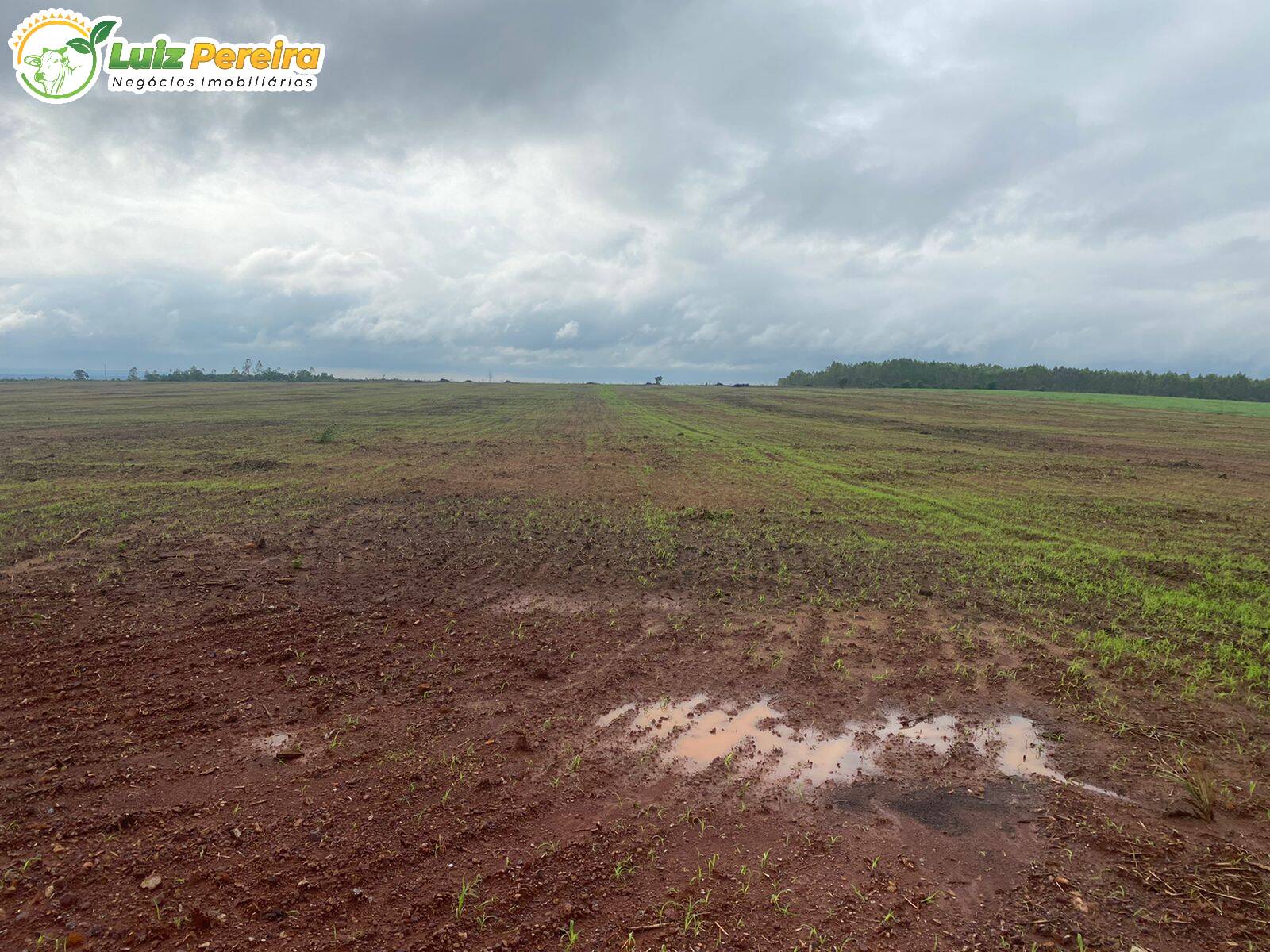 Fazenda à venda, 12100000m² - Foto 5