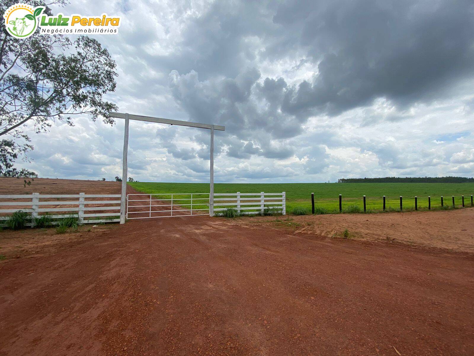 Fazenda à venda, 12100000m² - Foto 6