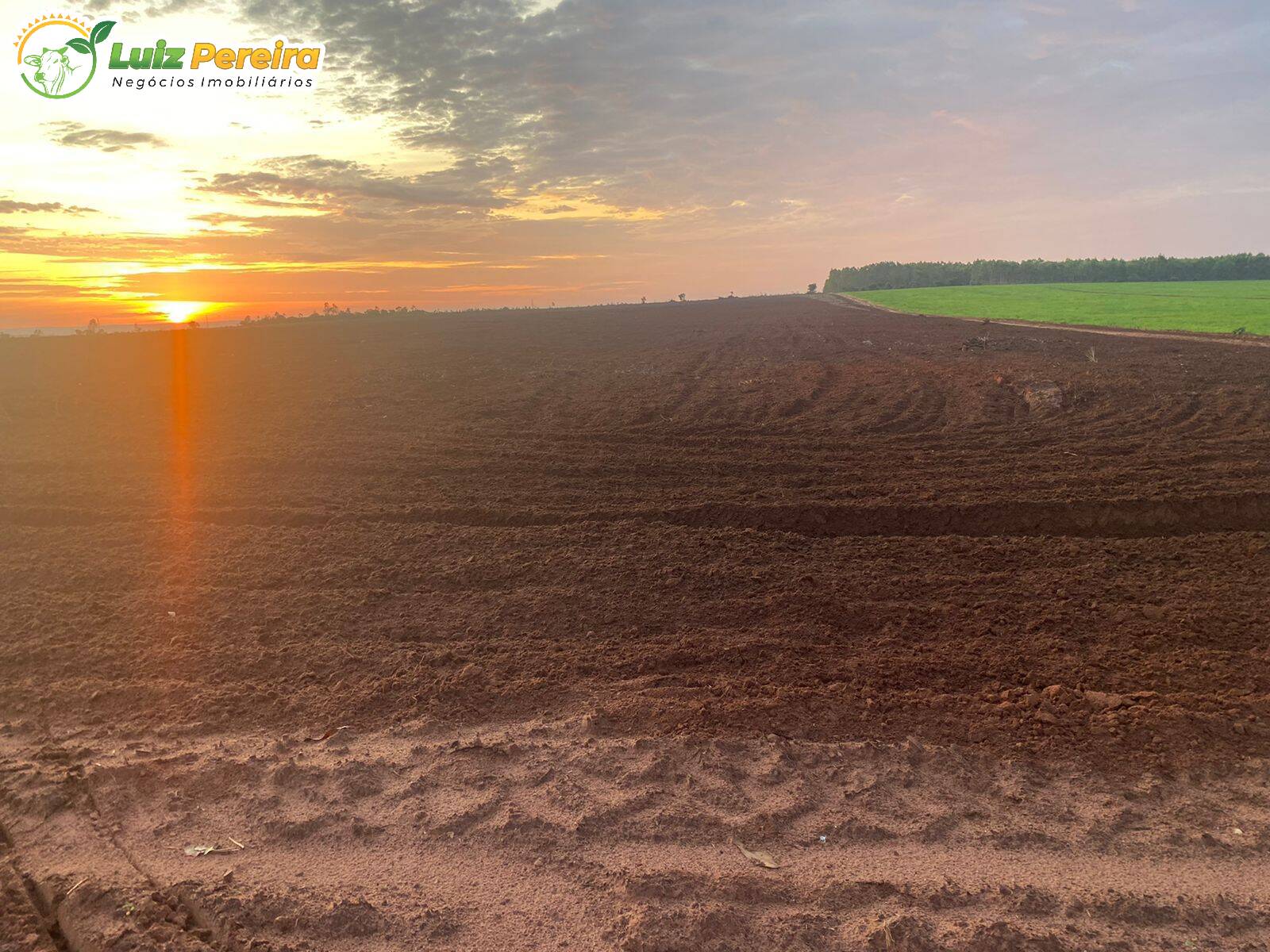 Fazenda à venda, 12100000m² - Foto 7