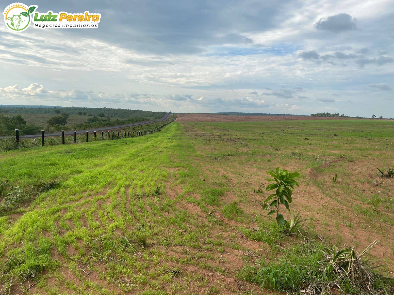 Fazenda à venda, 12100000m² - Foto 1