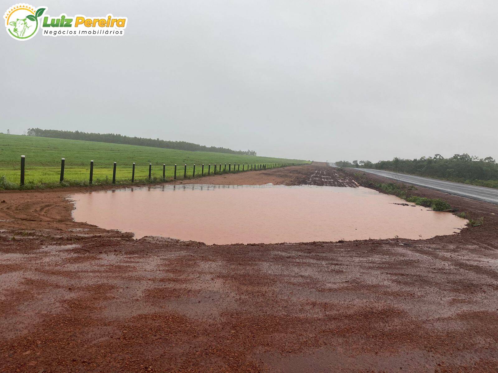 Fazenda à venda, 12100000m² - Foto 8