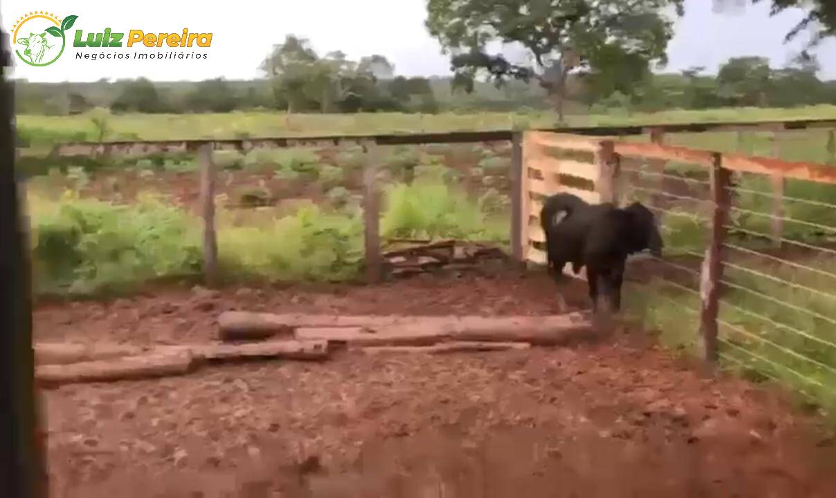 Fazenda à venda, 10940000m² - Foto 10