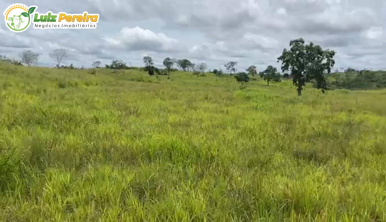 Fazenda à venda, 10940000m² - Foto 6