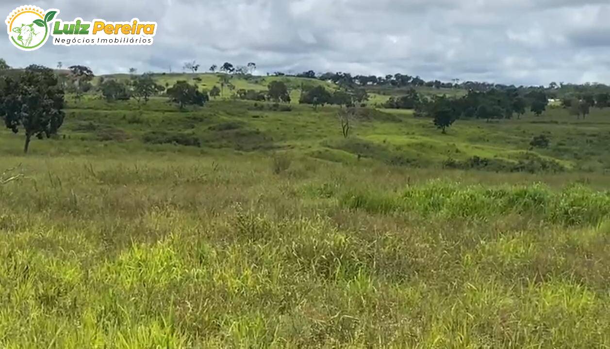 Fazenda à venda, 10940000m² - Foto 5