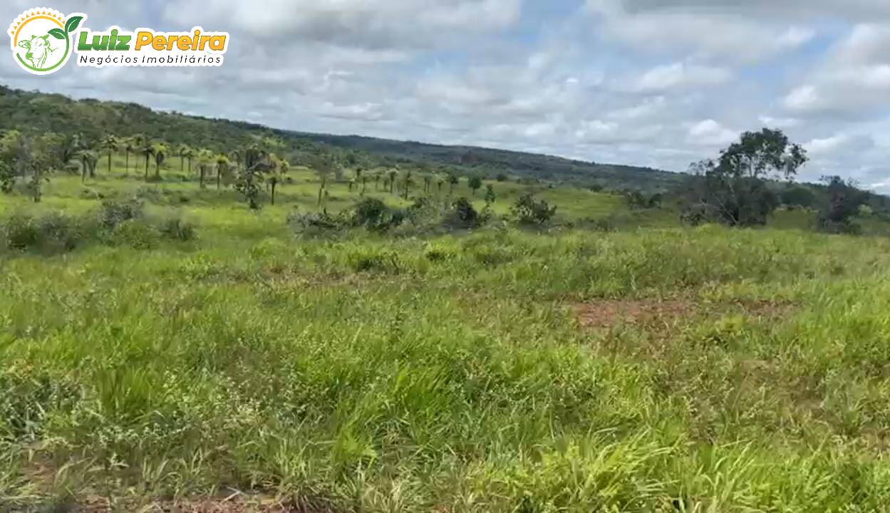 Fazenda à venda, 10940000m² - Foto 14