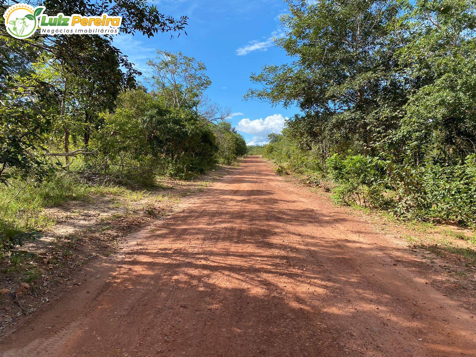 Fazenda à venda, 14650000m² - Foto 9