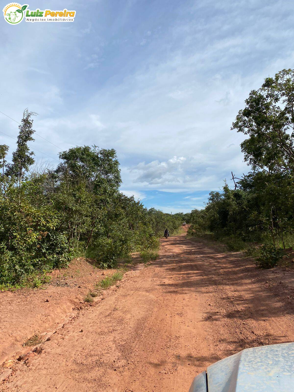 Fazenda à venda, 14650000m² - Foto 11