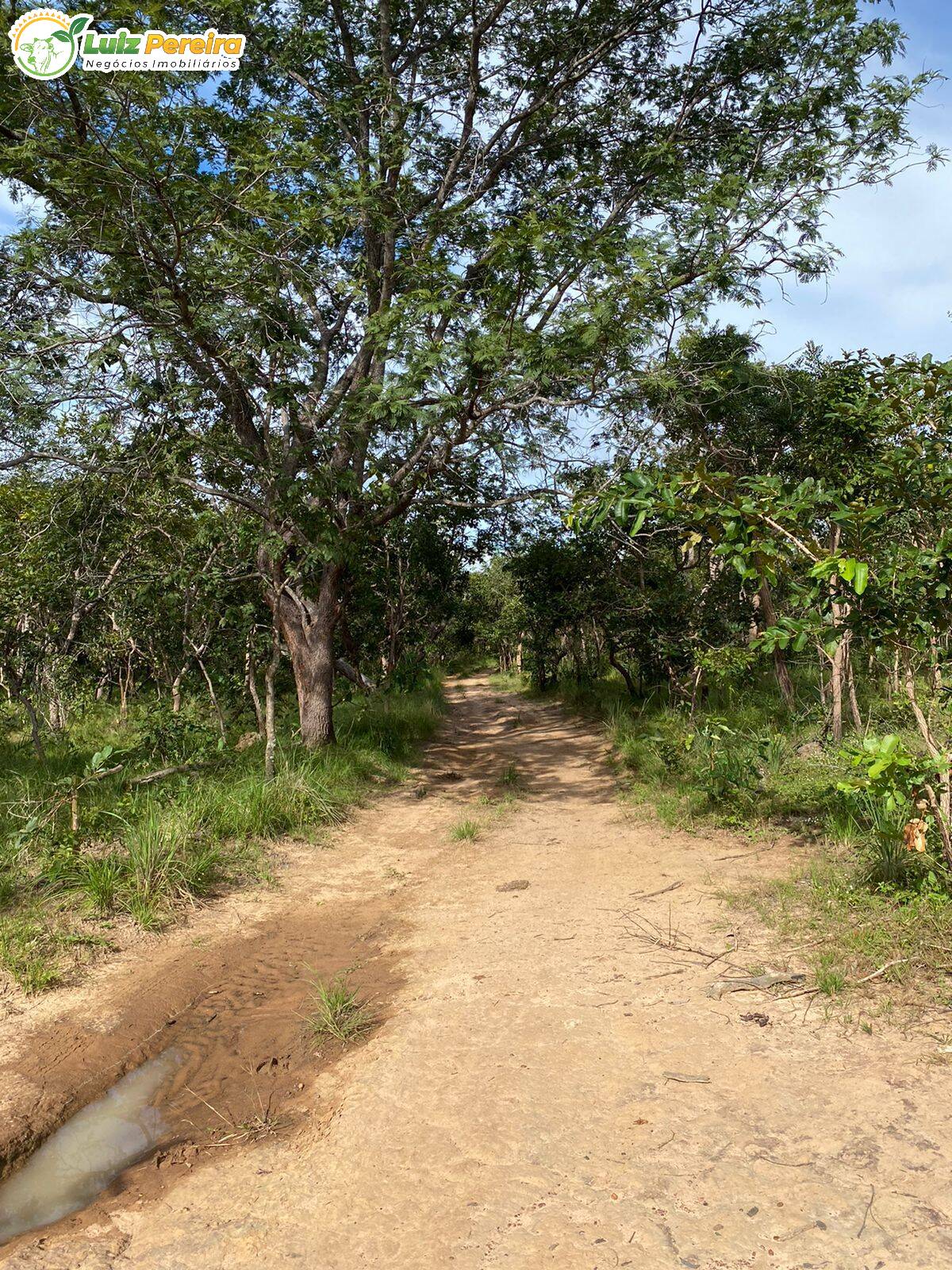 Fazenda à venda, 14650000m² - Foto 5