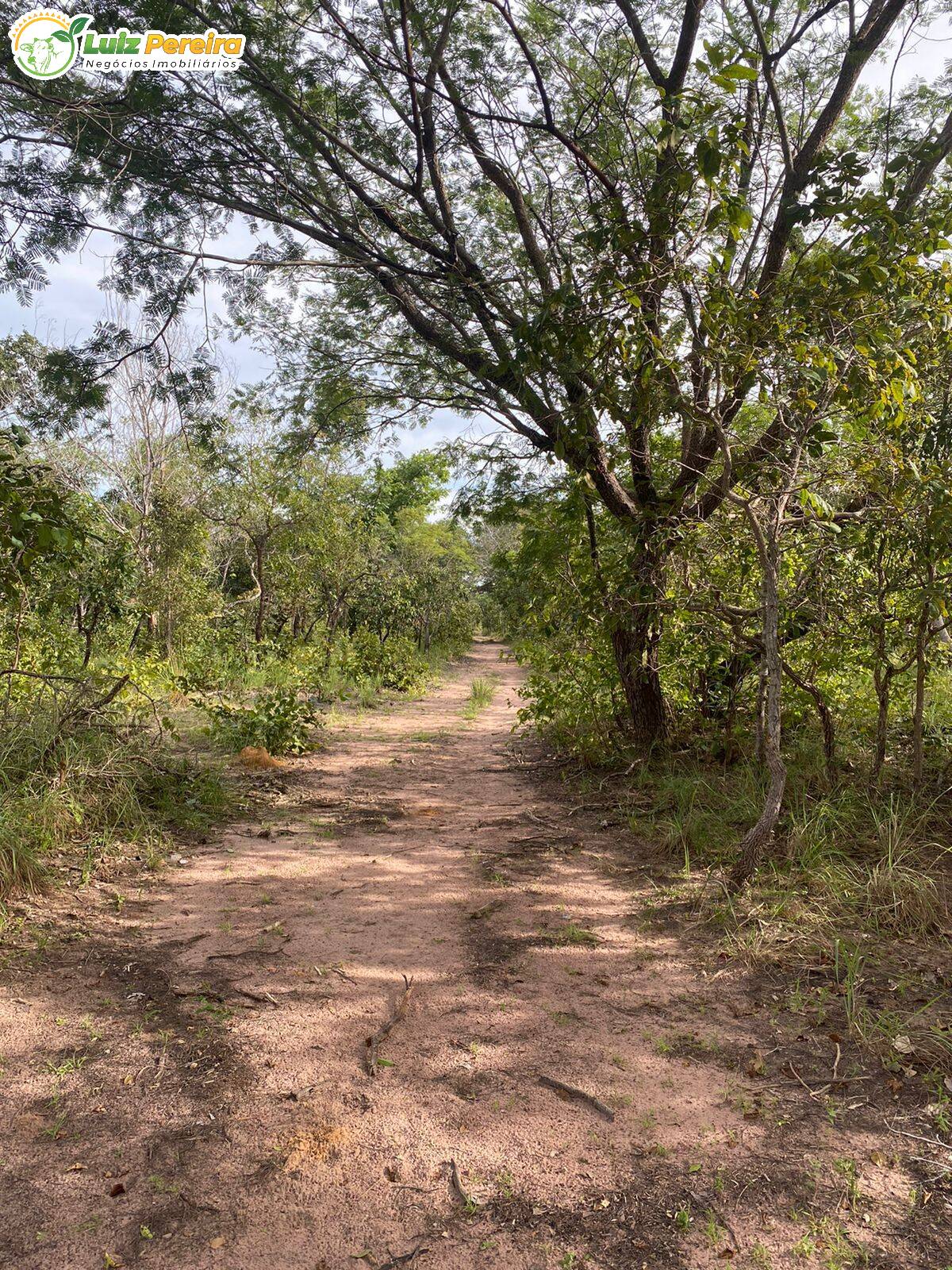 Fazenda à venda, 14650000m² - Foto 14