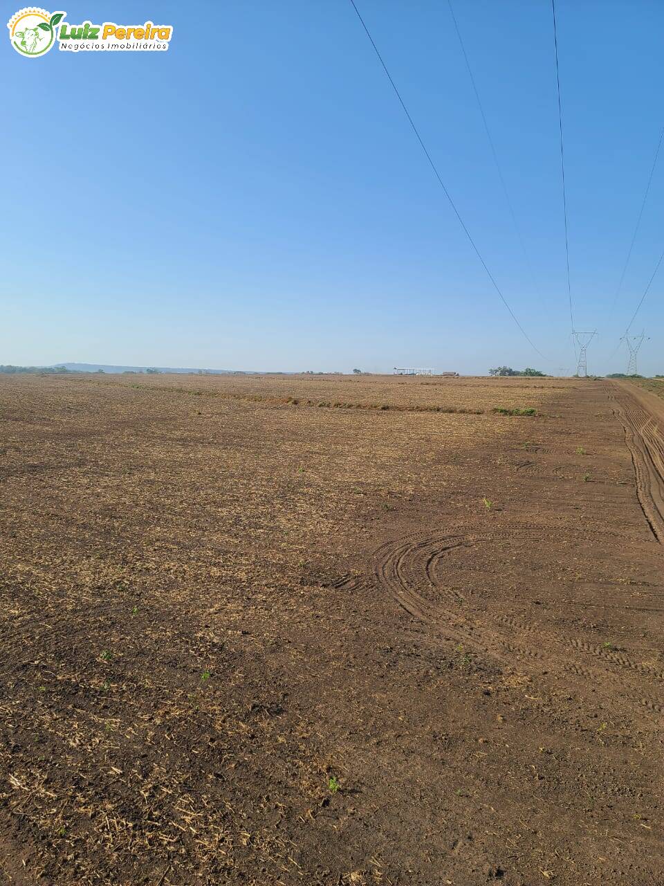 Fazenda à venda, 24000000m² - Foto 5