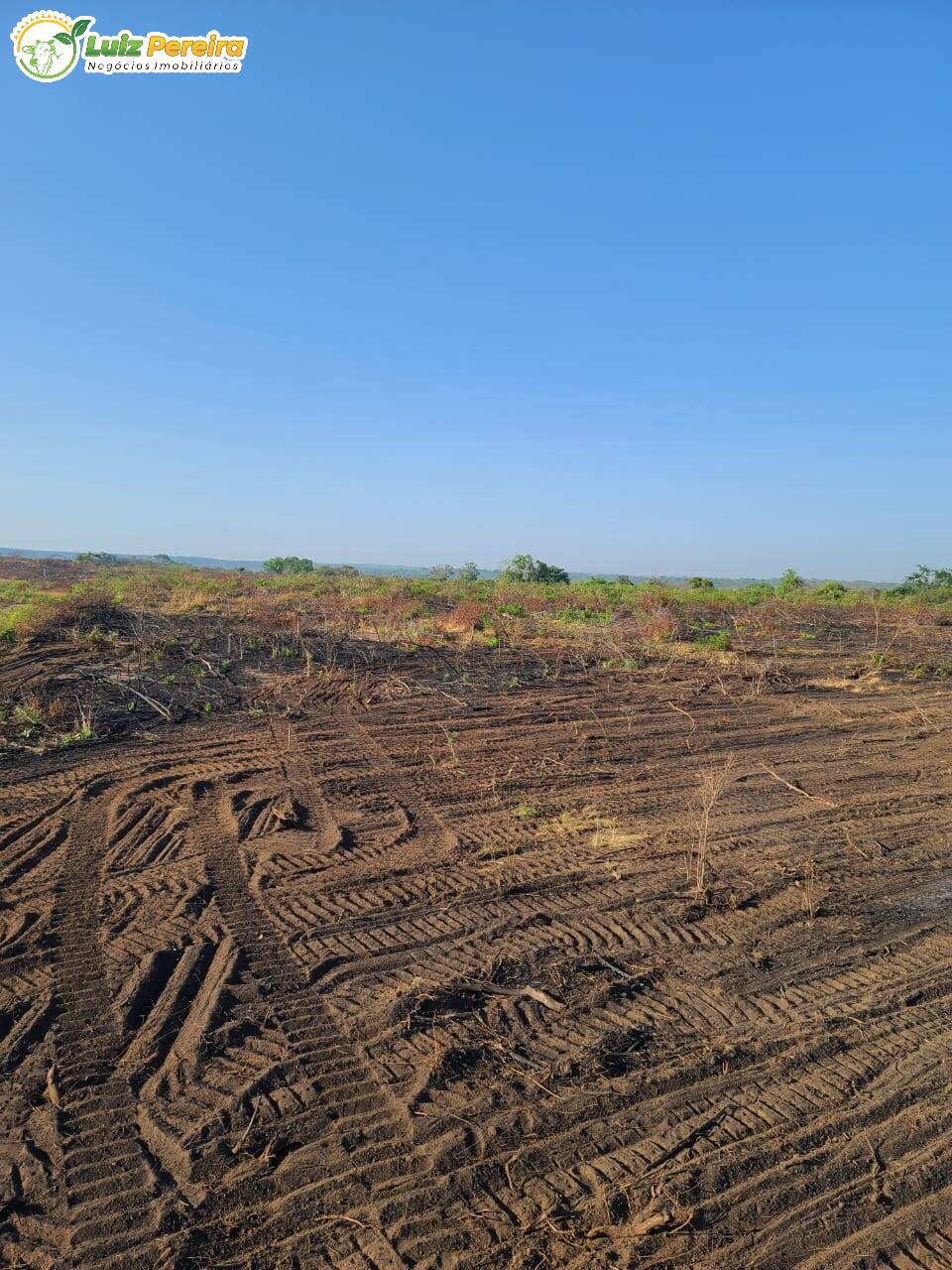 Fazenda à venda, 24000000m² - Foto 8