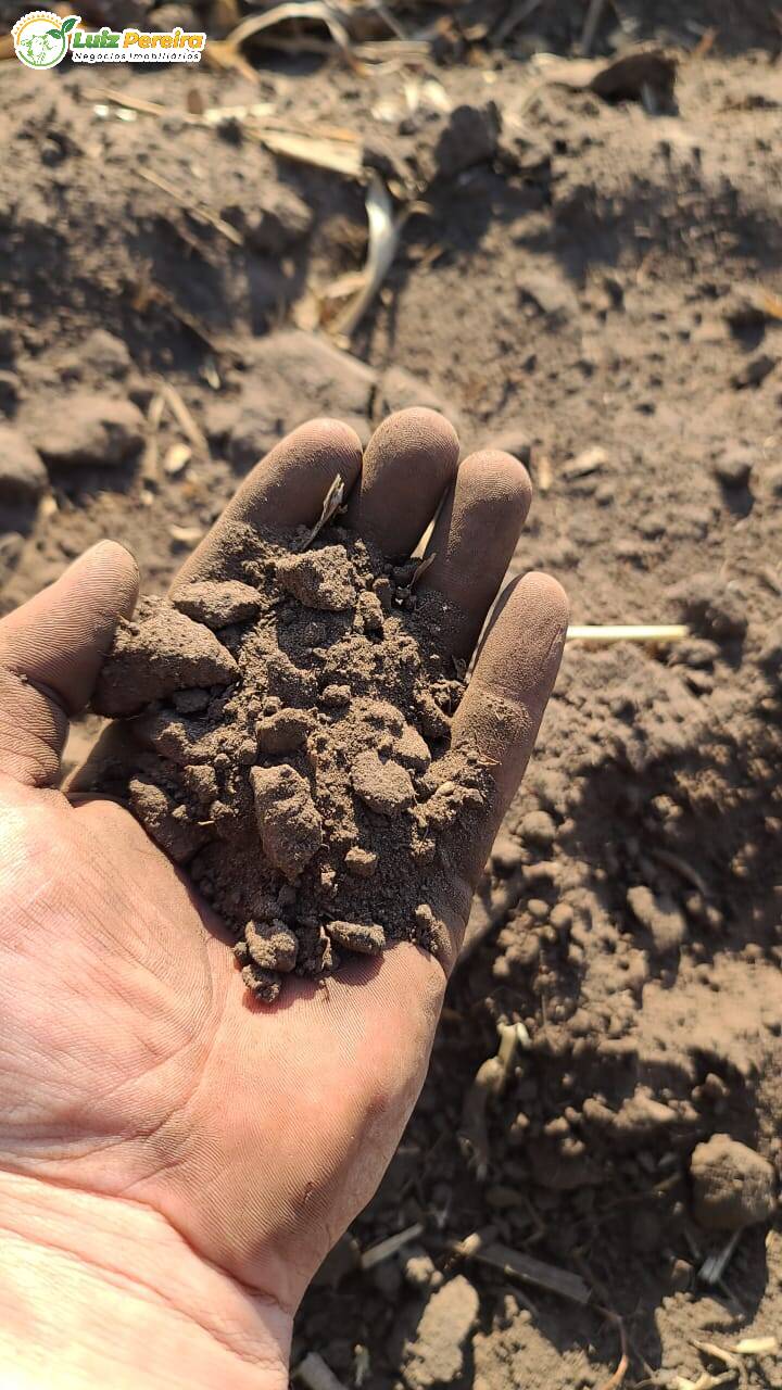 Fazenda à venda, 24000000m² - Foto 10