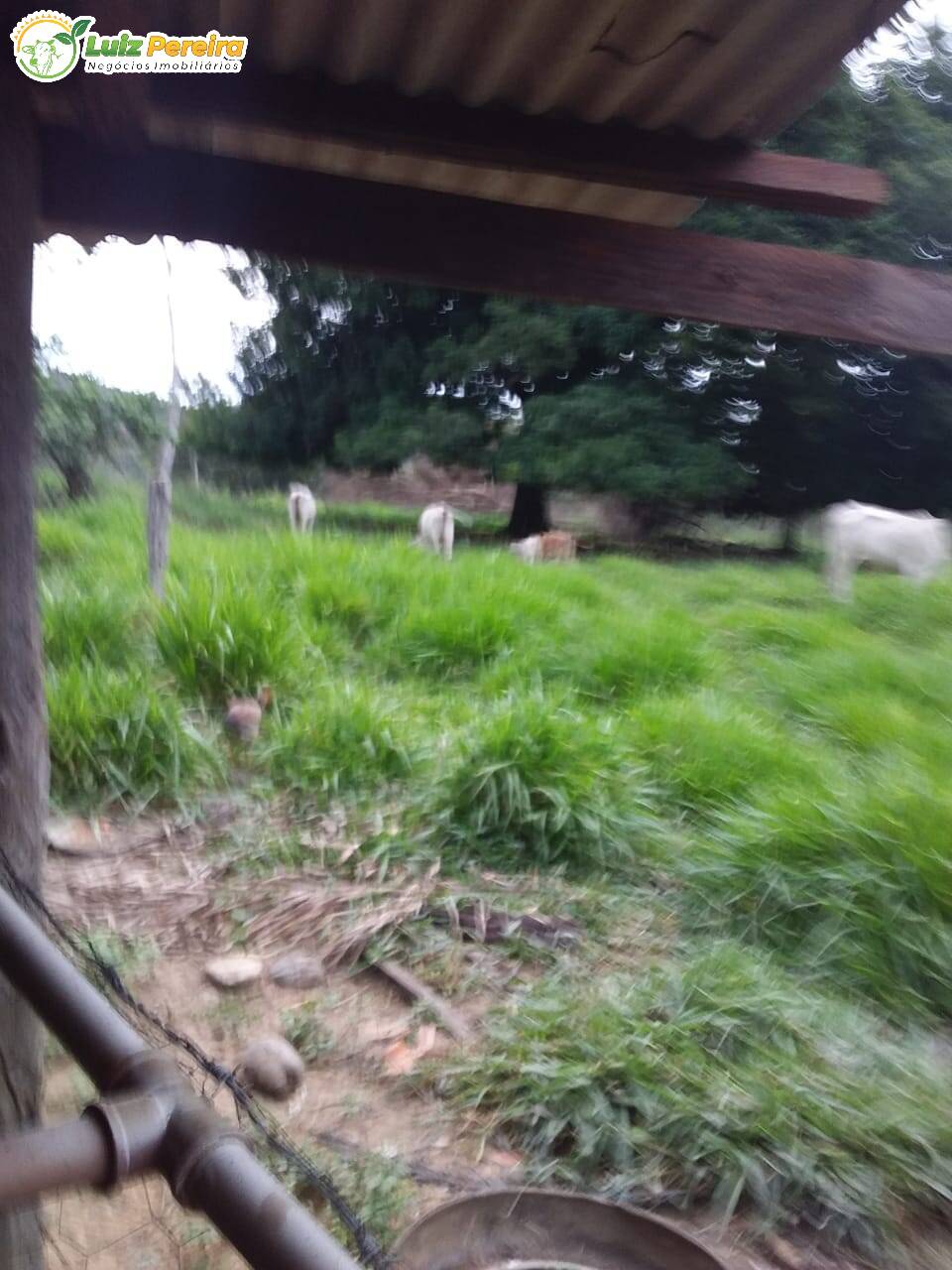 Fazenda à venda, 4840000m² - Foto 5