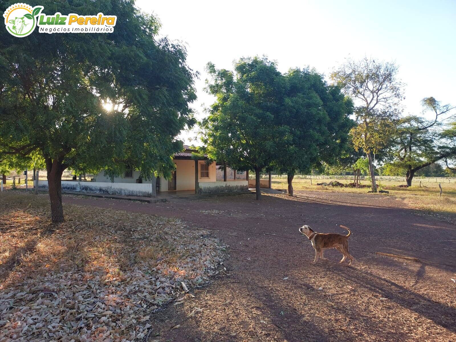 Fazenda à venda, 20770000m² - Foto 6