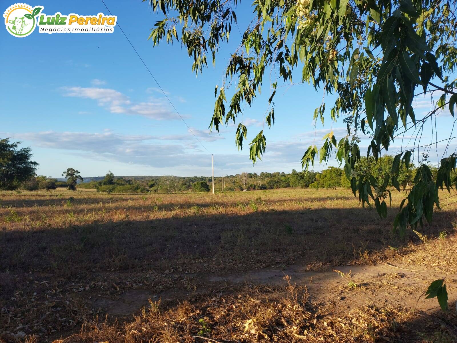 Fazenda-Sítio-Chácara, 2077 hectares - Foto 1