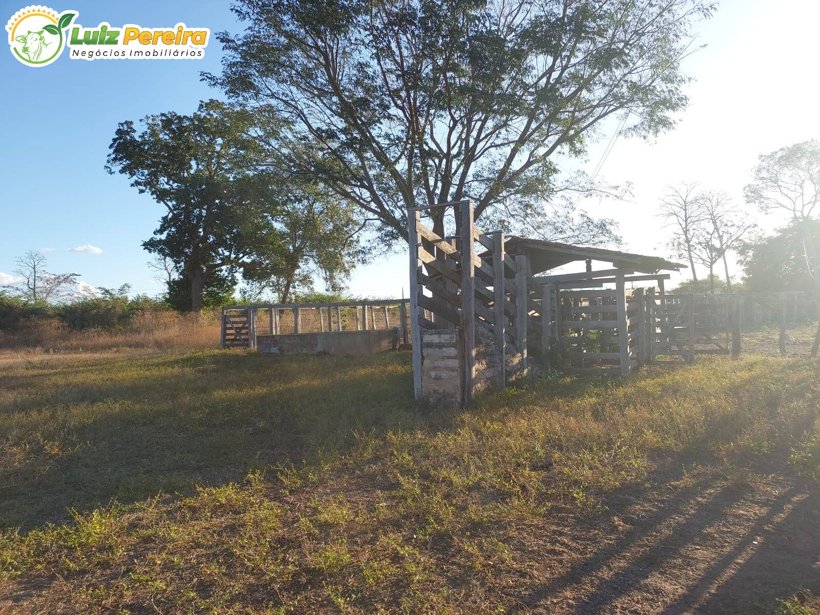 Fazenda à venda, 20770000m² - Foto 5