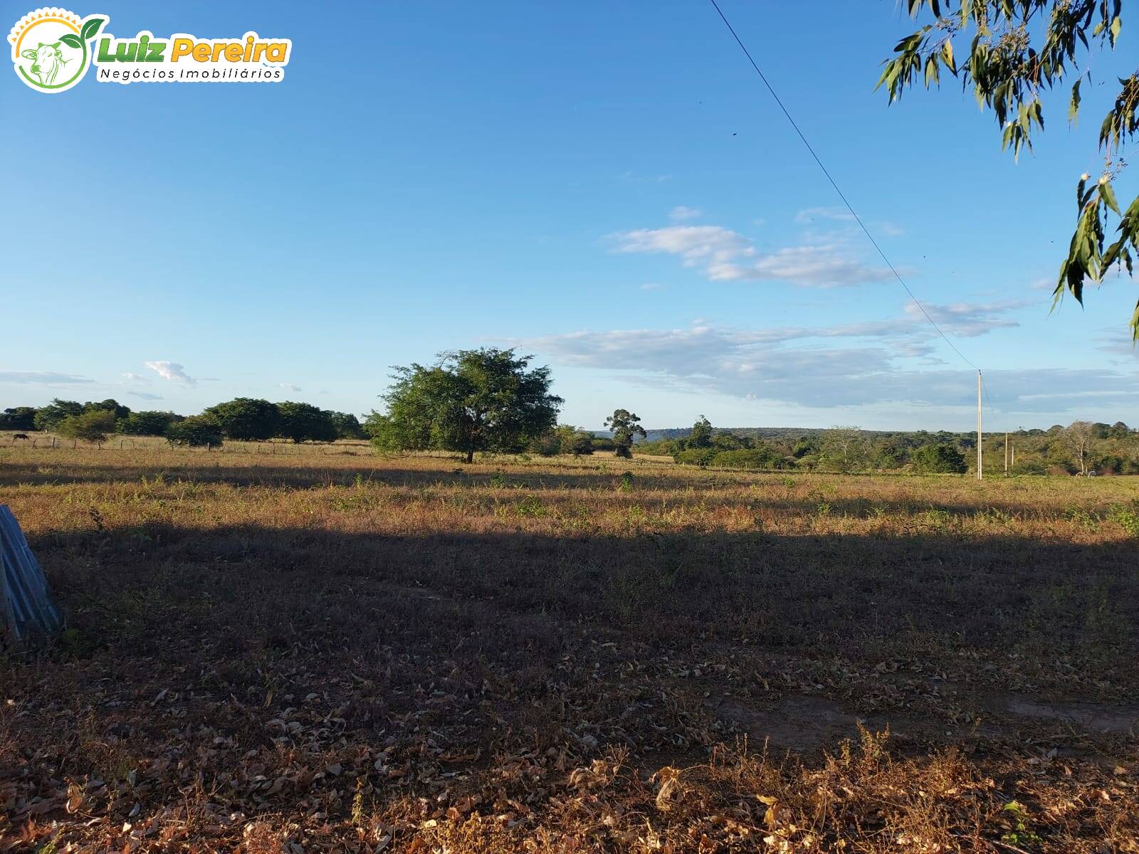 Fazenda-Sítio-Chácara, 2077 hectares - Foto 2