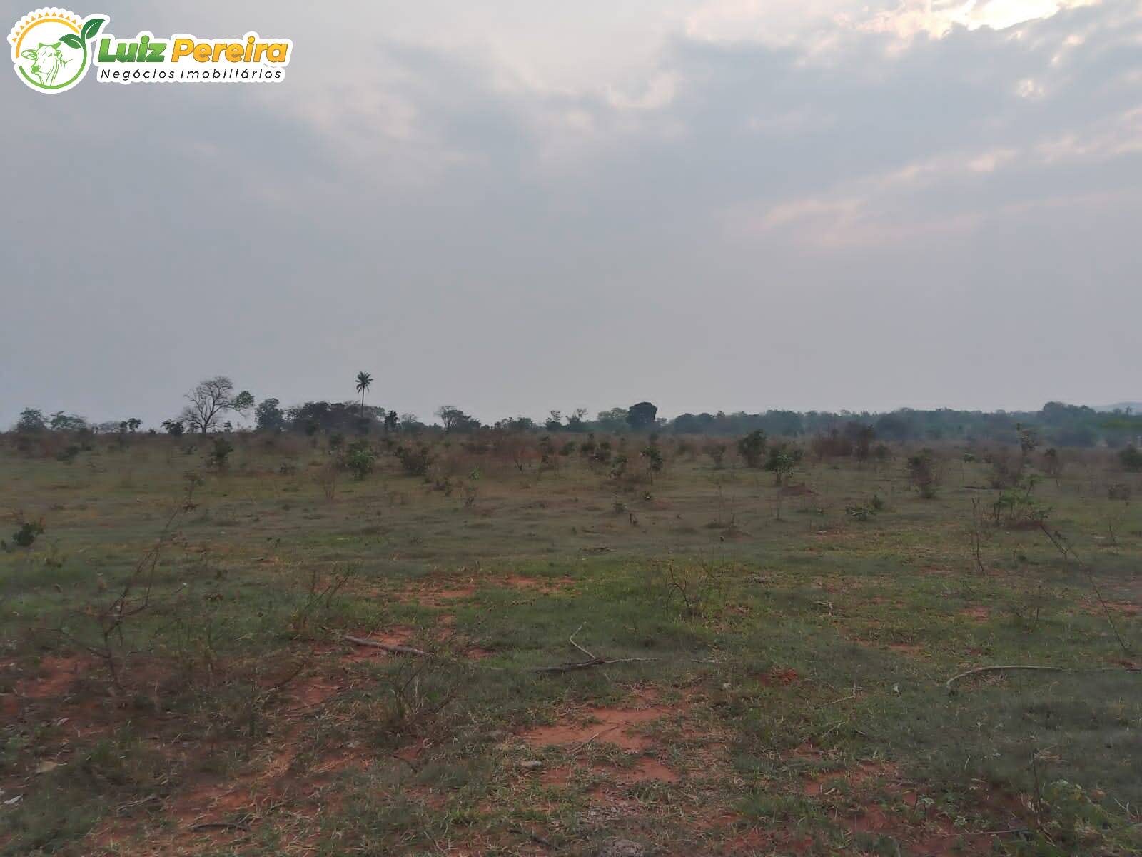 Fazenda à venda, 2000000m² - Foto 5