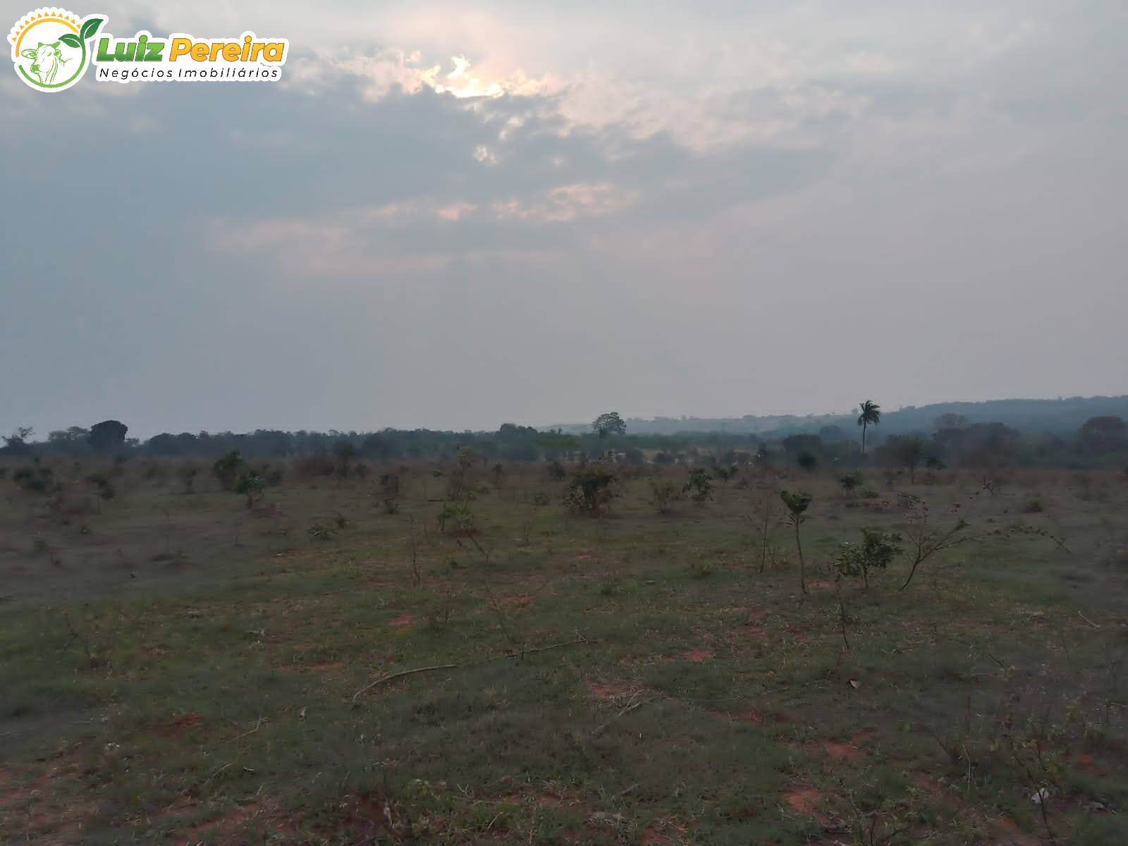 Fazenda à venda, 2000000m² - Foto 6