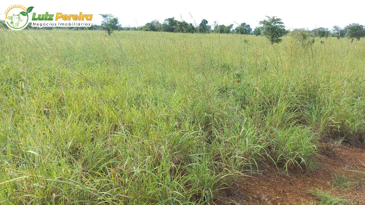 Fazenda à venda, 16700000m² - Foto 3