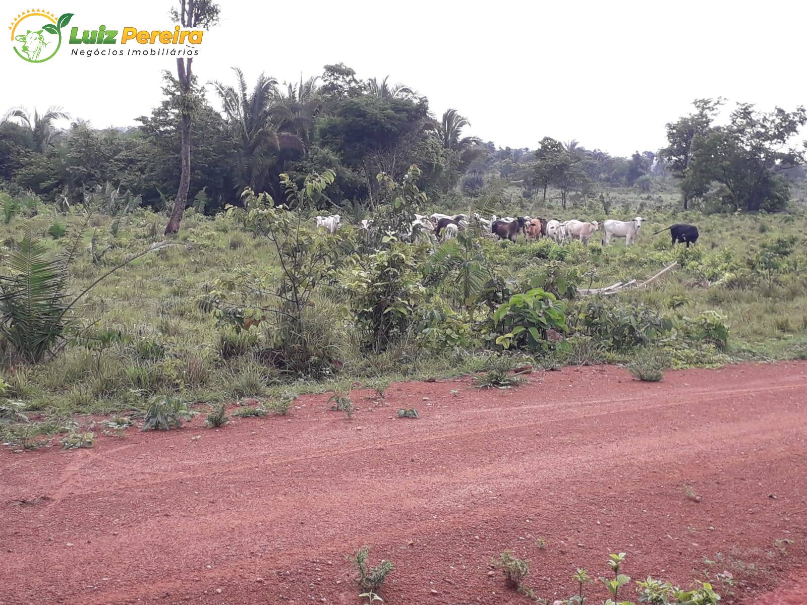 Fazenda à venda, 16700000m² - Foto 13