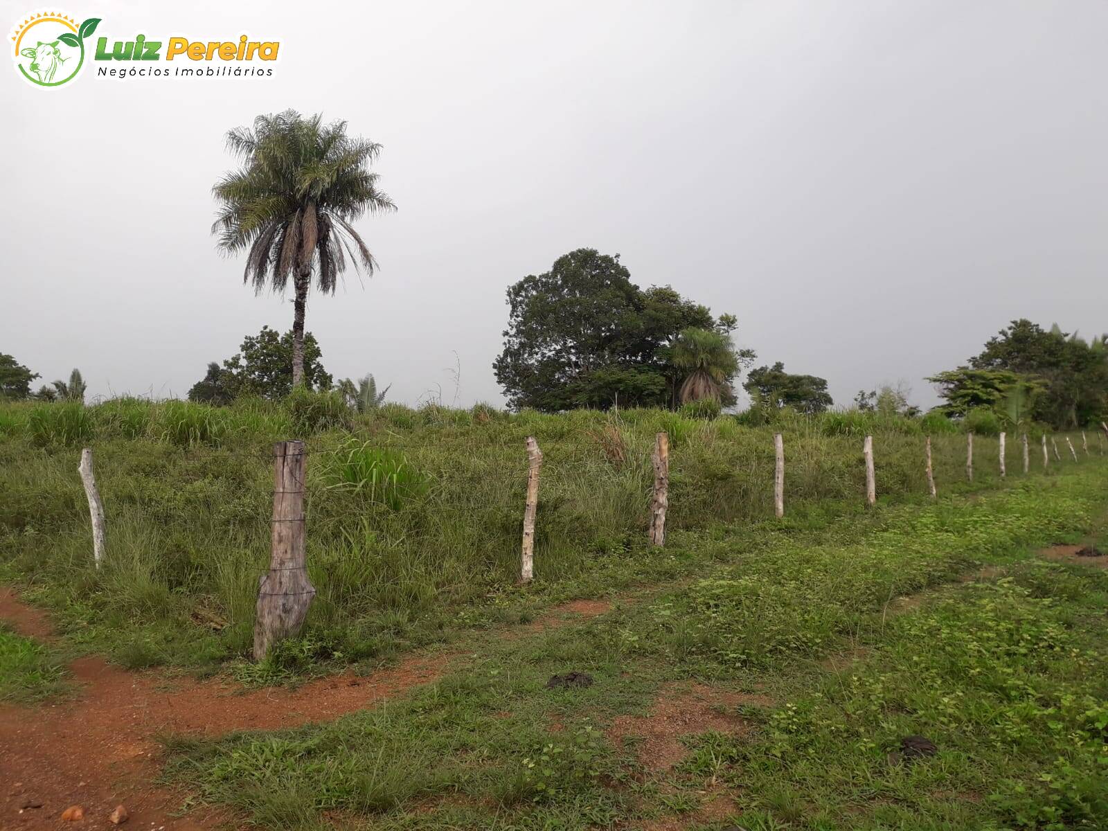 Fazenda à venda, 16700000m² - Foto 2