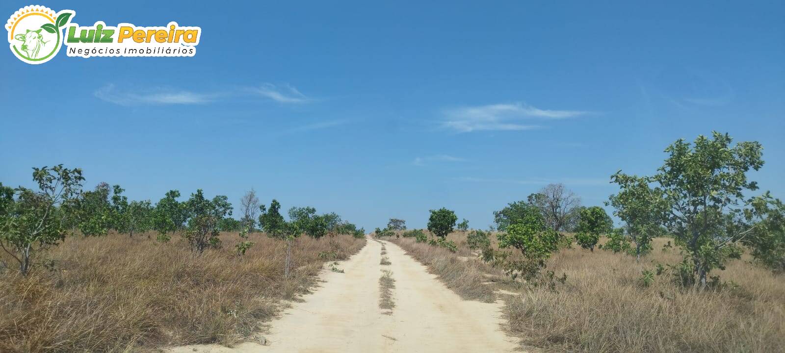 Fazenda à venda, 2032800m² - Foto 6