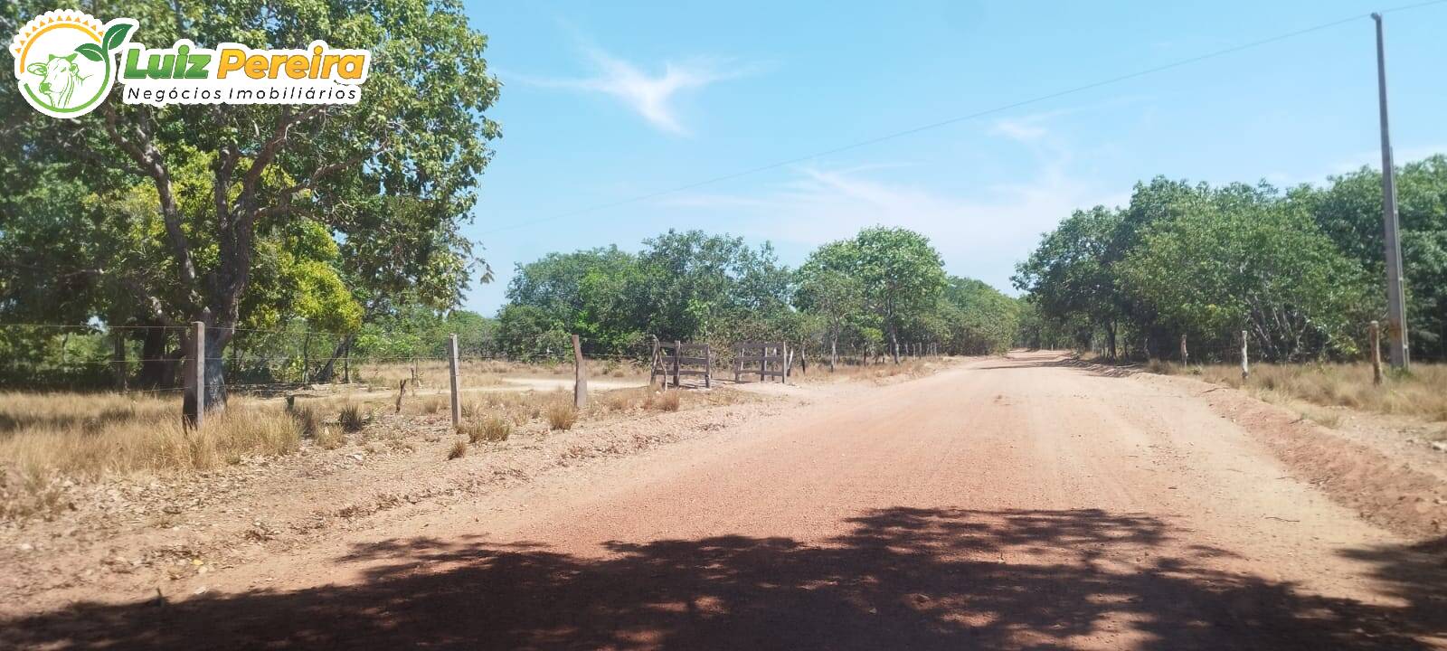 Fazenda-Sítio-Chácara, 203 hectares - Foto 4