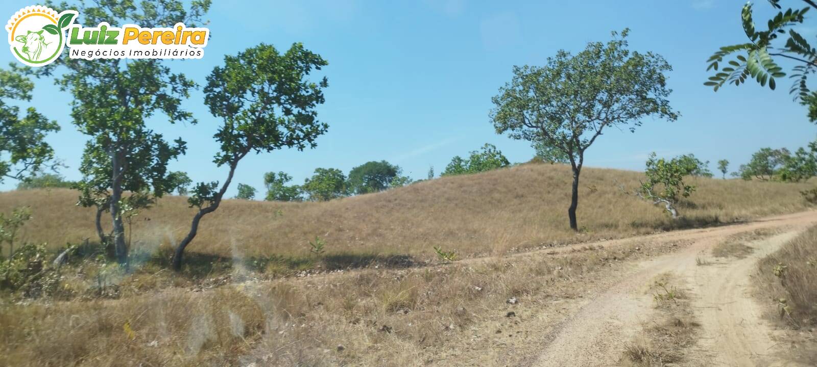 Fazenda-Sítio-Chácara, 203 hectares - Foto 2