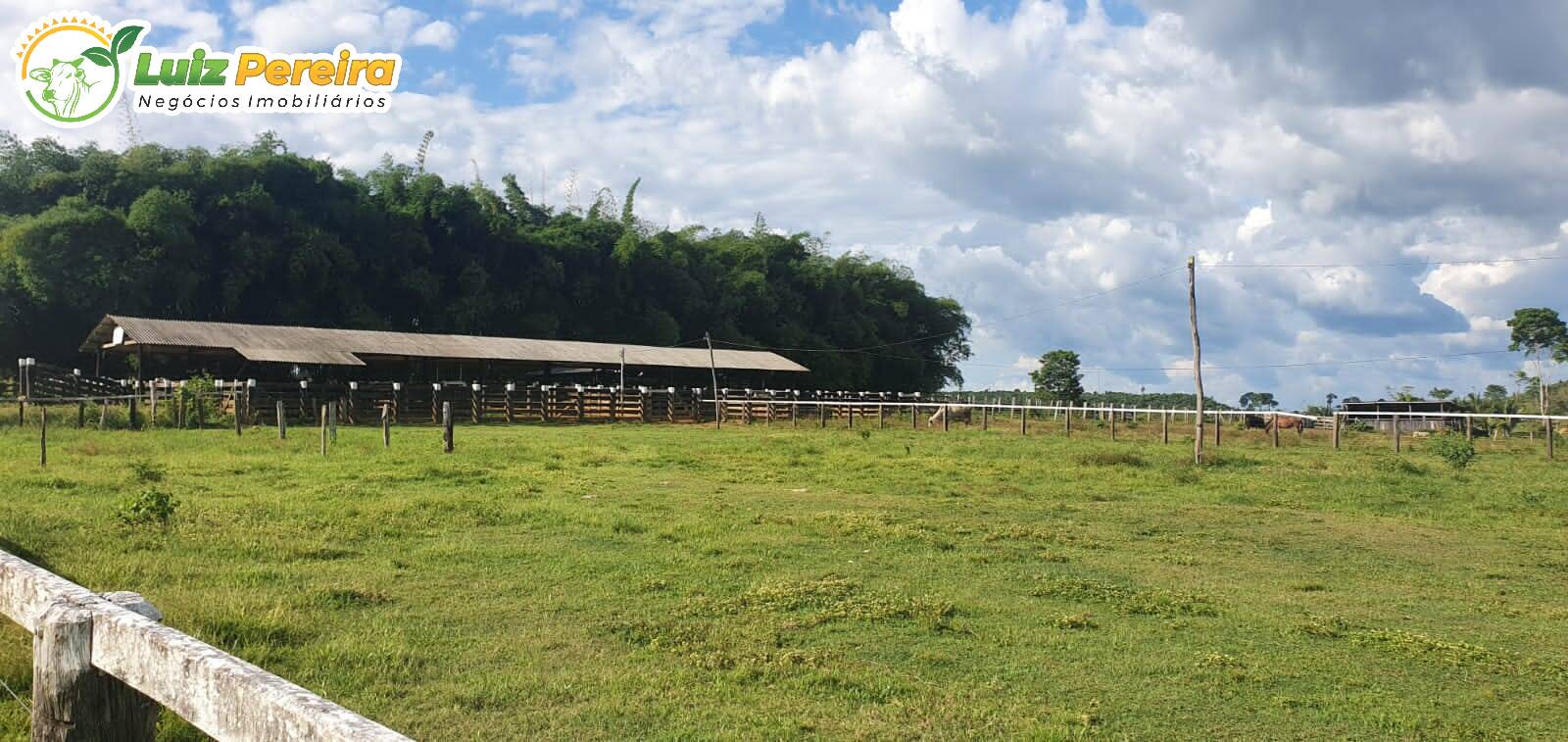 Fazenda à venda, 30250000m² - Foto 9