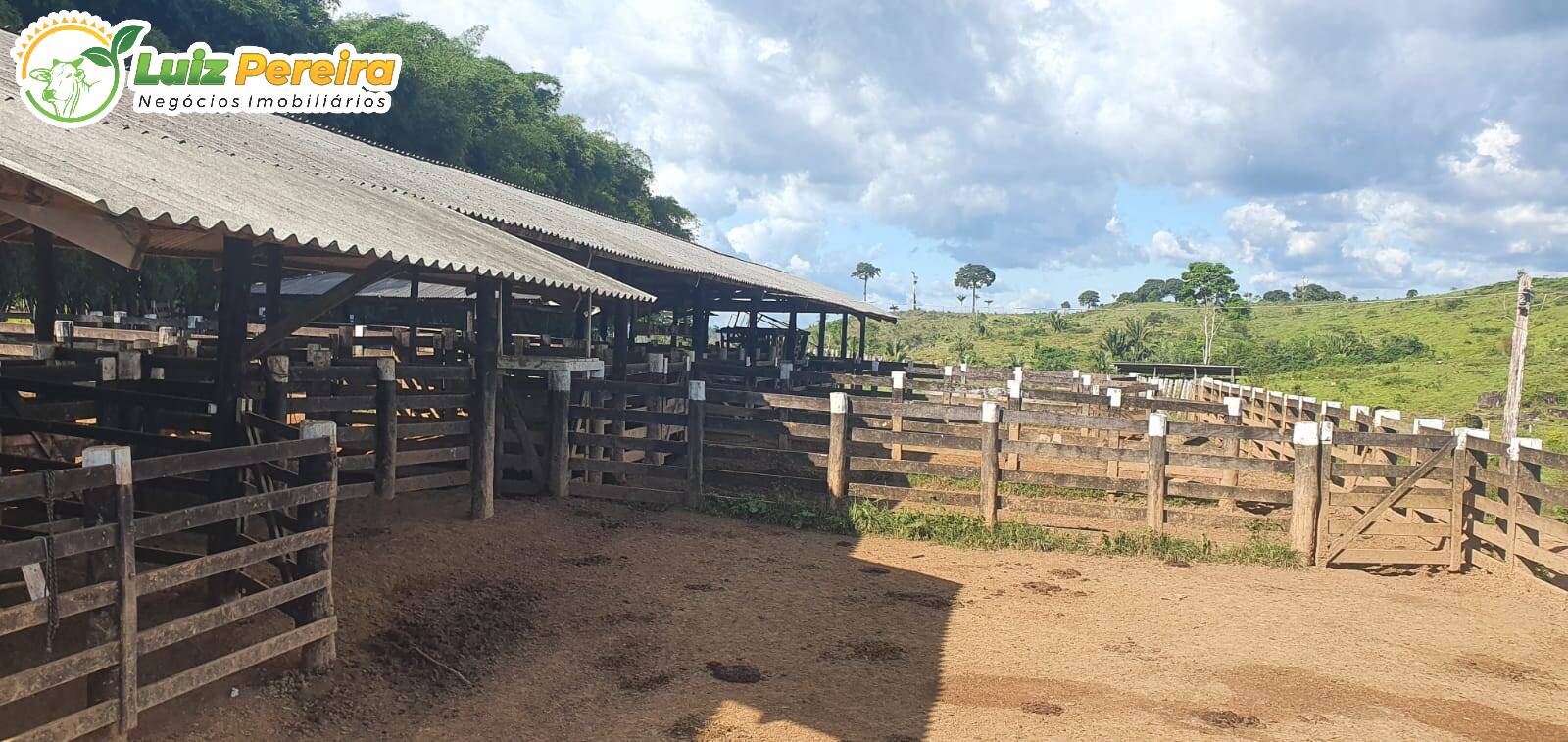 Fazenda à venda, 30250000m² - Foto 15