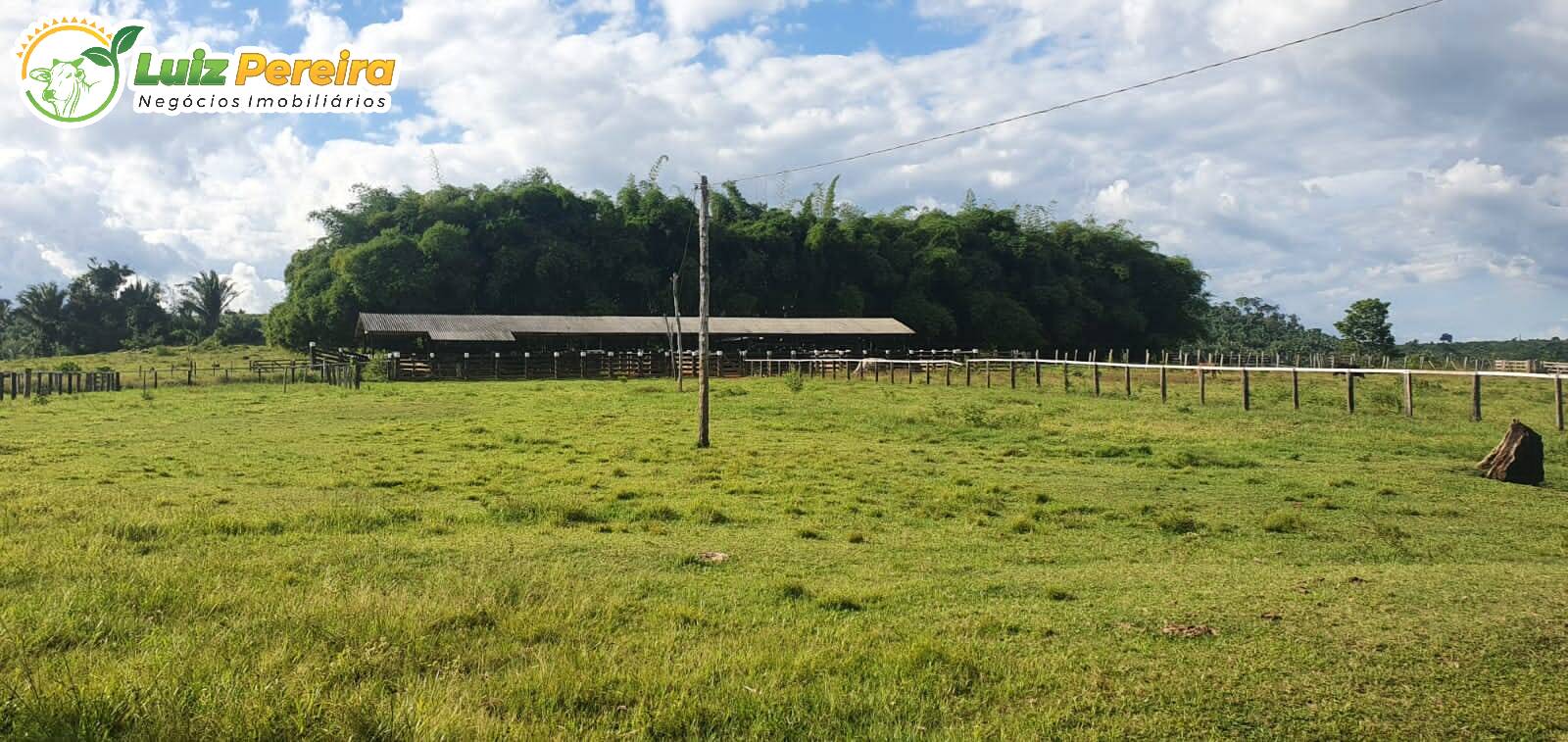 Fazenda à venda, 30250000m² - Foto 8