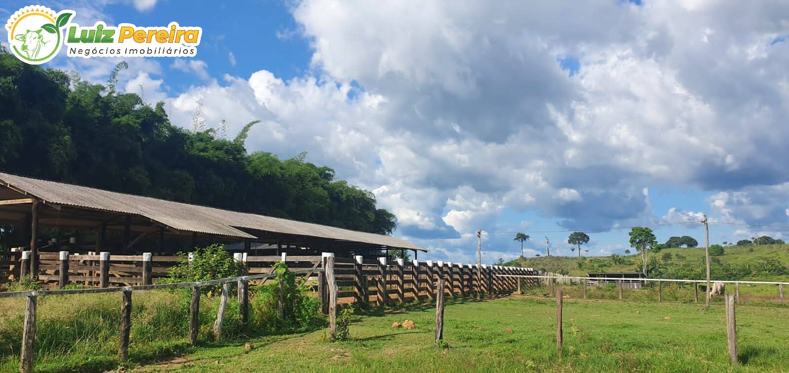 Fazenda à venda, 30250000m² - Foto 14