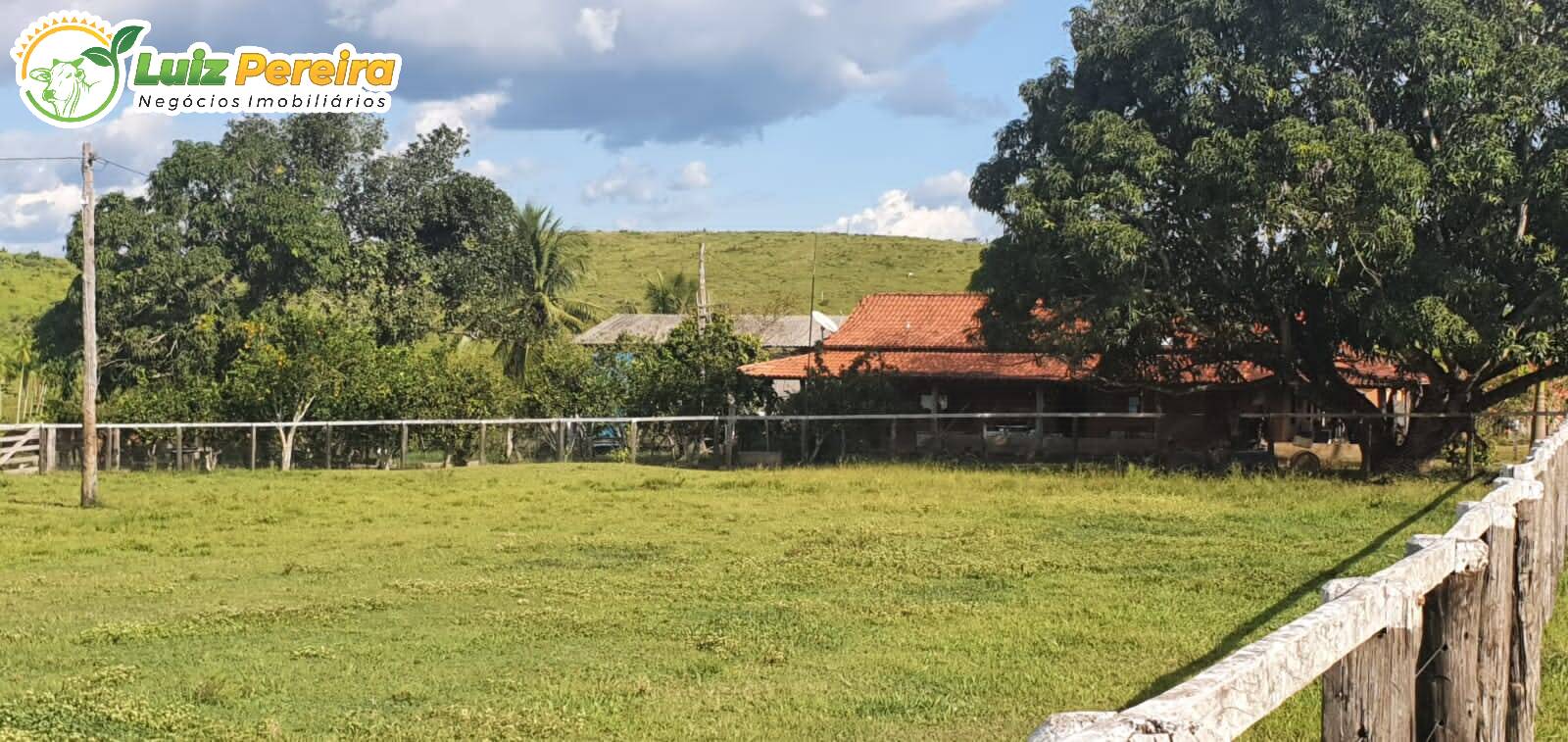 Fazenda à venda, 30250000m² - Foto 10