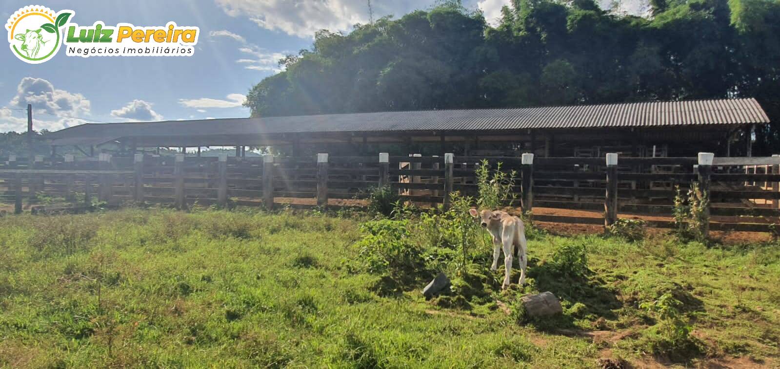 Fazenda à venda, 30250000m² - Foto 16