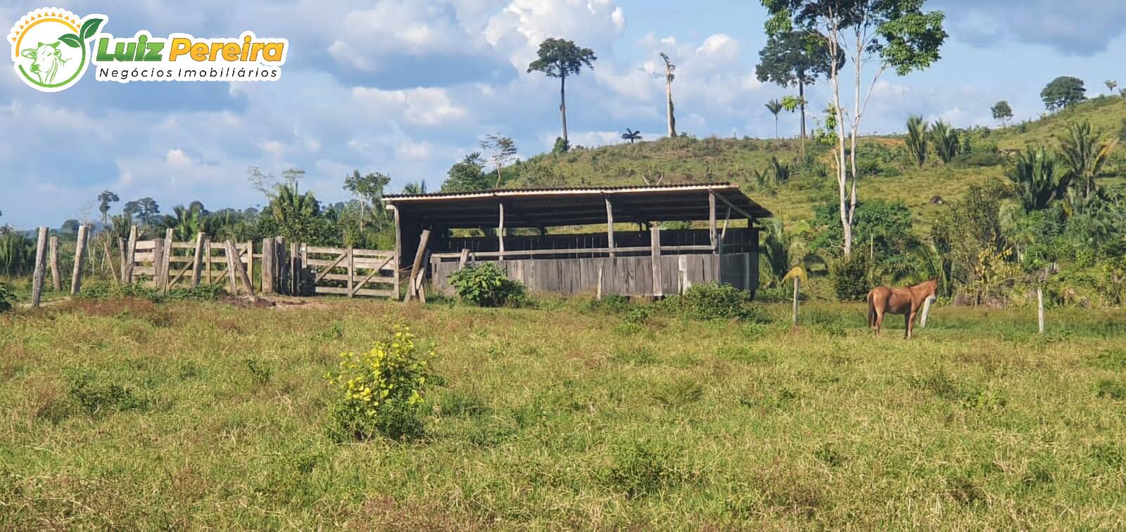 Fazenda à venda, 30250000m² - Foto 22