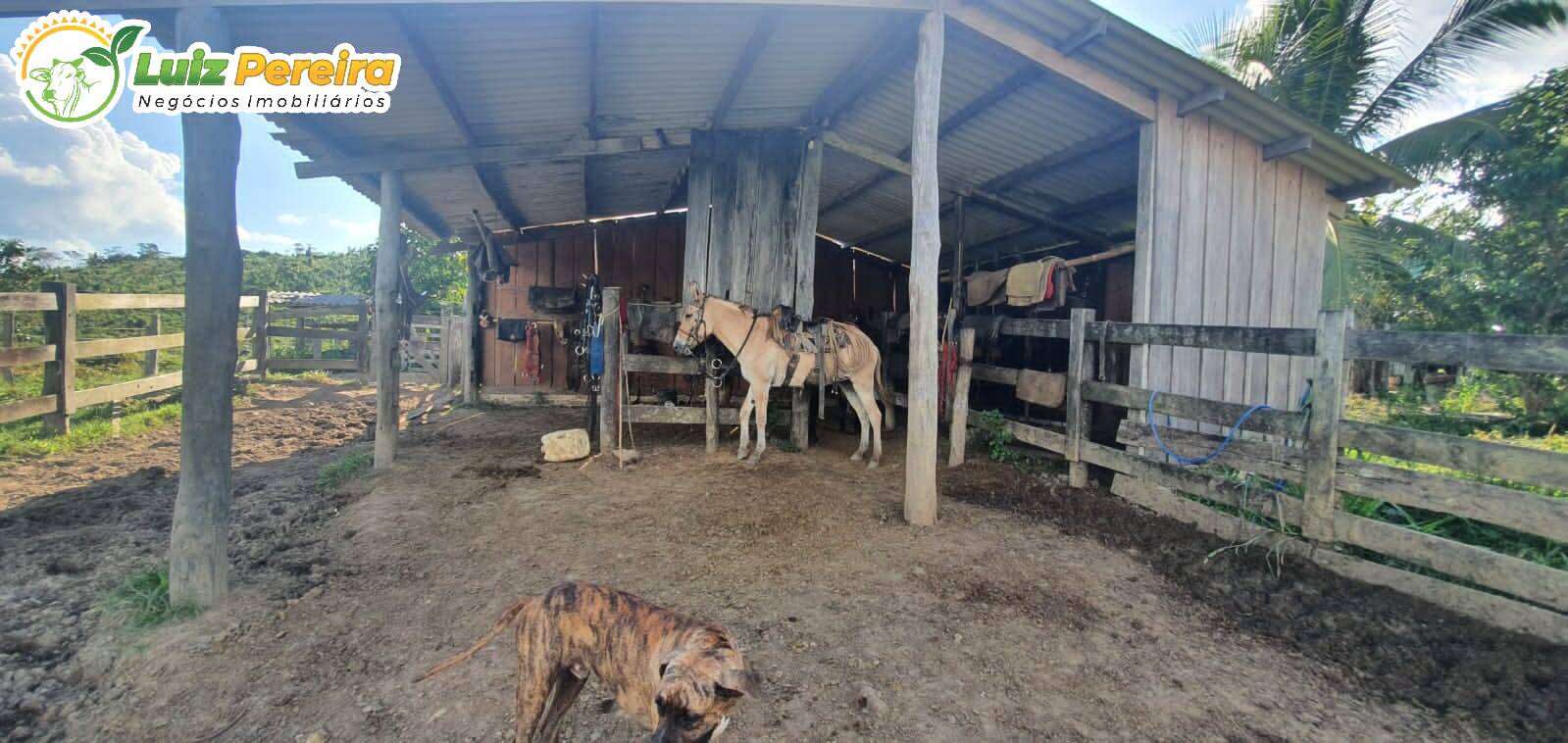 Fazenda à venda, 30250000m² - Foto 20