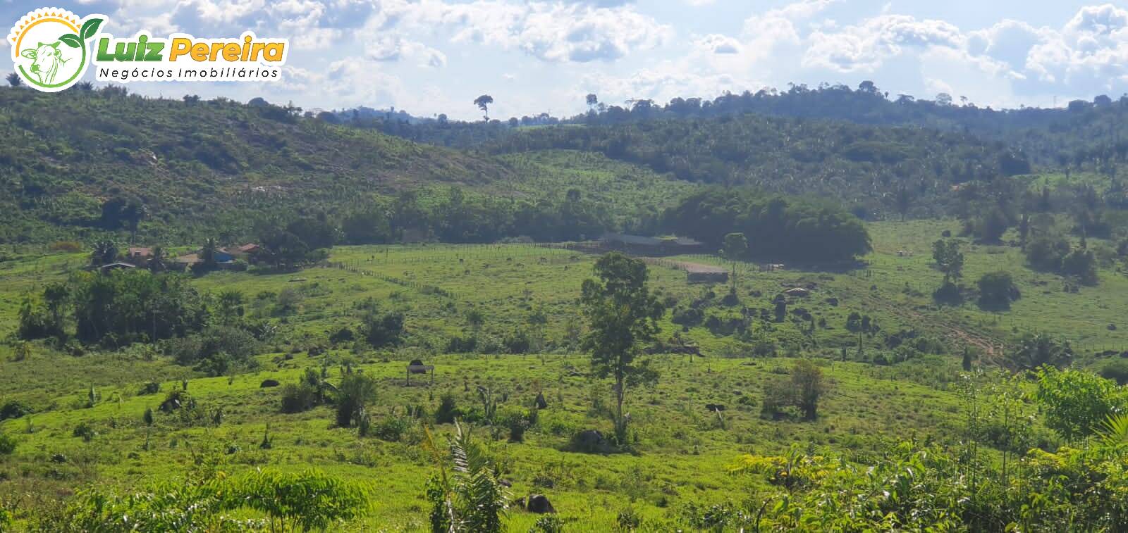 Fazenda à venda, 30250000m² - Foto 4