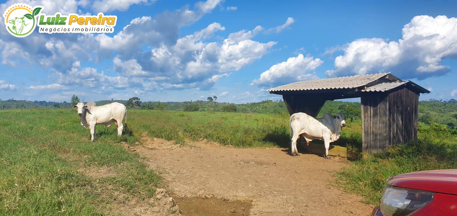 Fazenda à venda, 30250000m² - Foto 7